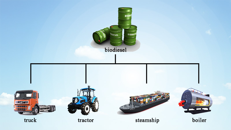 Biodisel fuel usage