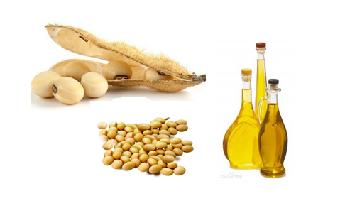 How to start a soybean oil mill?