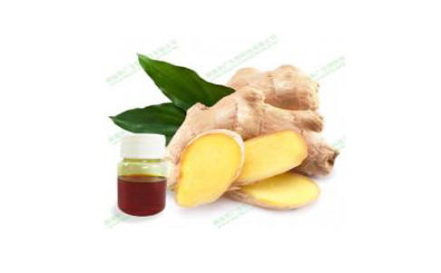 How does ginger oil work?