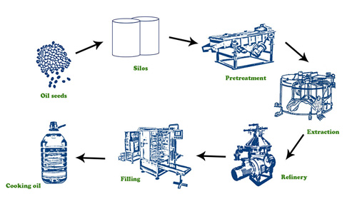 What’s the process of edible oil refining?