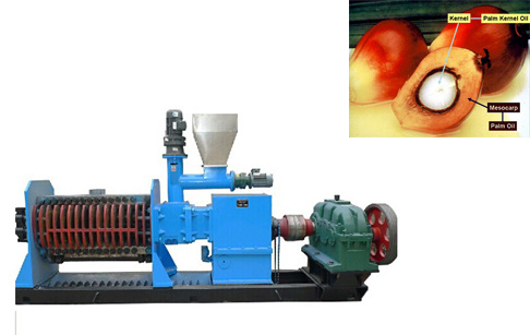 What is palm kernel expeller?