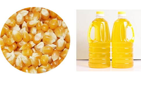 How corn price effect food price?