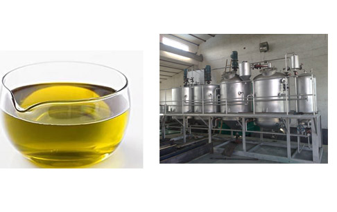 What is the main processes of producing vegetable oil?