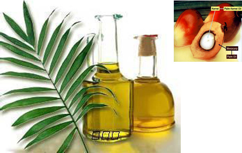 Is hydrogenated palm oil have disadvantages?