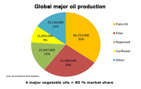 Global edible oil trend