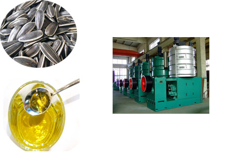 Why are sunflower seeds shelled in the sunflower oil factory equipments?