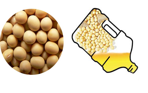 The nutrient content of soybean oil and its classification