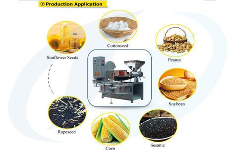 cooking oil press machine