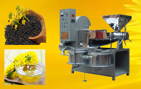 rapeseed oil press machine