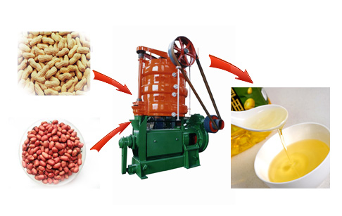 peanut oil press machine