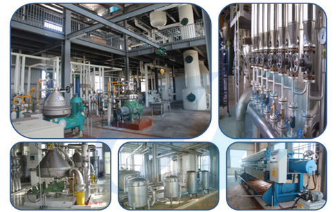 How to start a cooking oil production company？