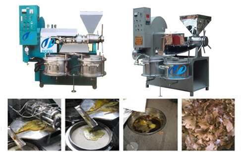 canola oil press machine