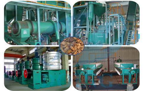 palm oil processing machine