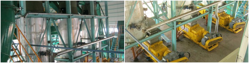 palm oil extracting machine