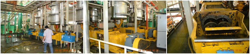 palm oil extracting machine