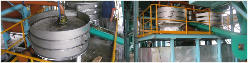 palm oil extracting machine