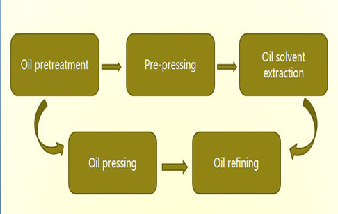 oil mill plant process