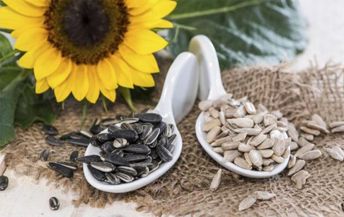 sunflower seeds