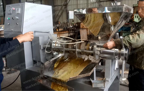 the running rapeseed oil press machine