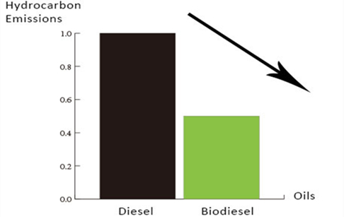 How do biodiesel emissions compare to petroleum diesel?