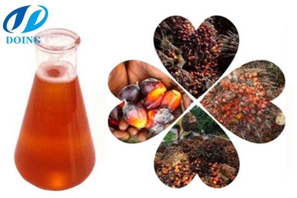 palm oil