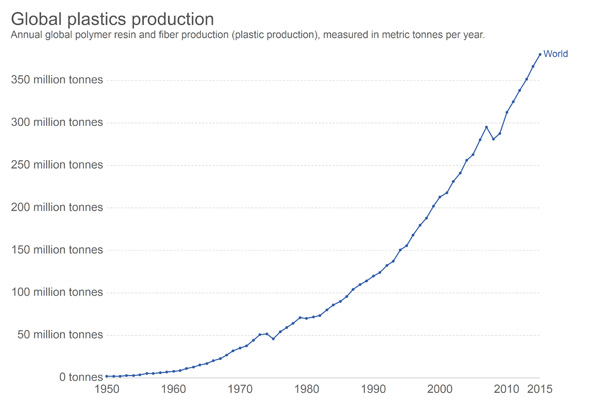 plants that produce oil