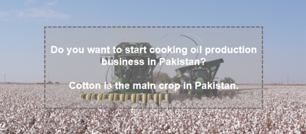 cottonseed oil production