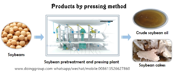 soybean oil extraction machine