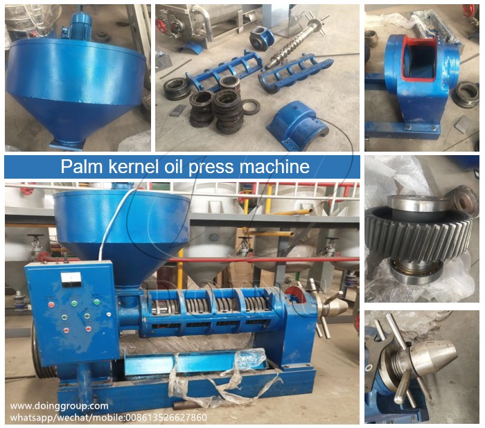 palm kernel oil expeller machine