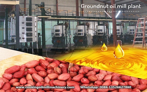 How much tons of groundnuts can produce 1 ton of oil?