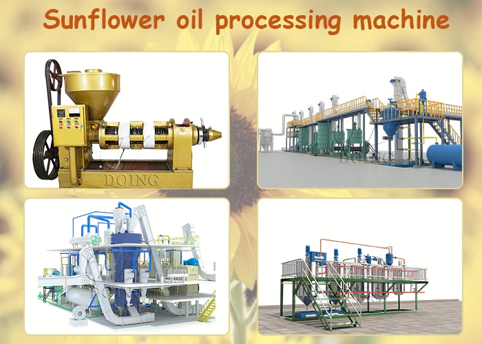 Sunflower oil extraction machines