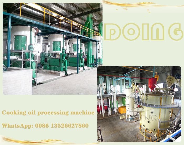 Edible oil extraction section