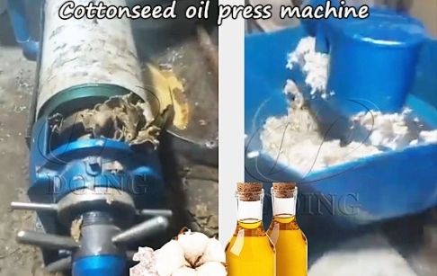 How much budget is needed to start a cottonseed oil processing business in Uzbekistan?