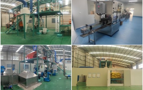 5TPD oil press machine installed in China