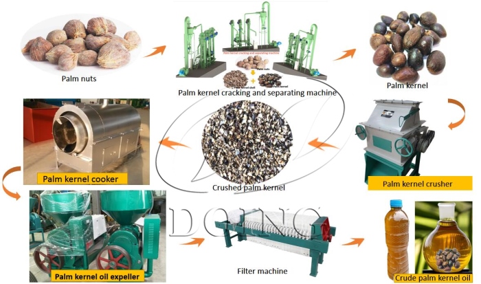 Palm kernel oil production line.jpg